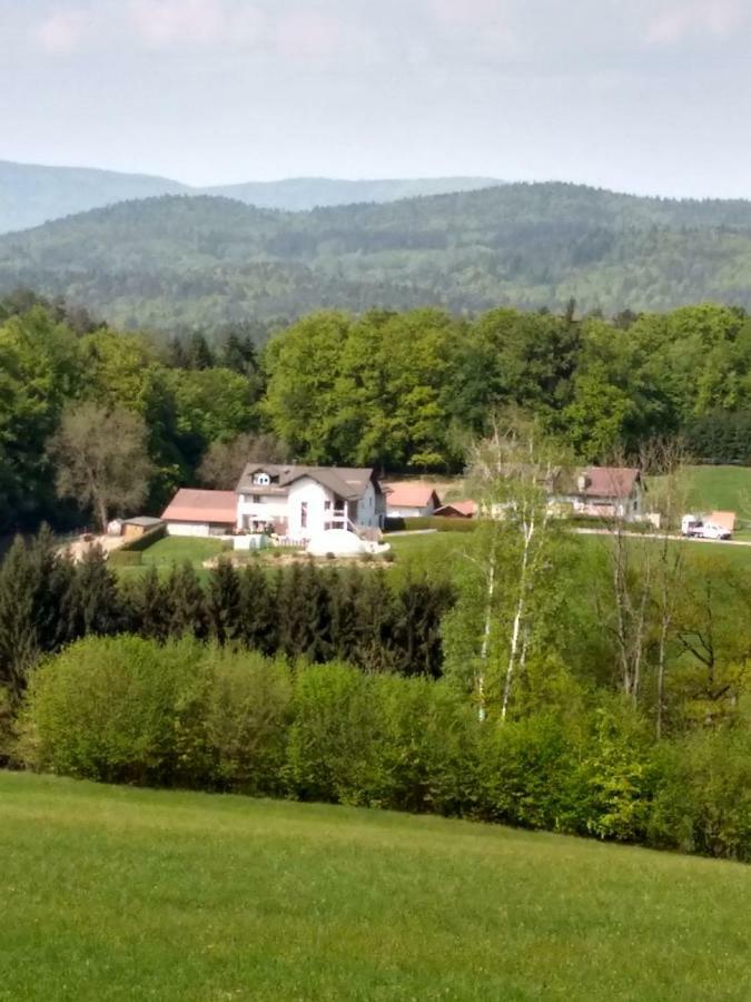 Ferienwohnung Betula Furstenstein Bagian luar foto